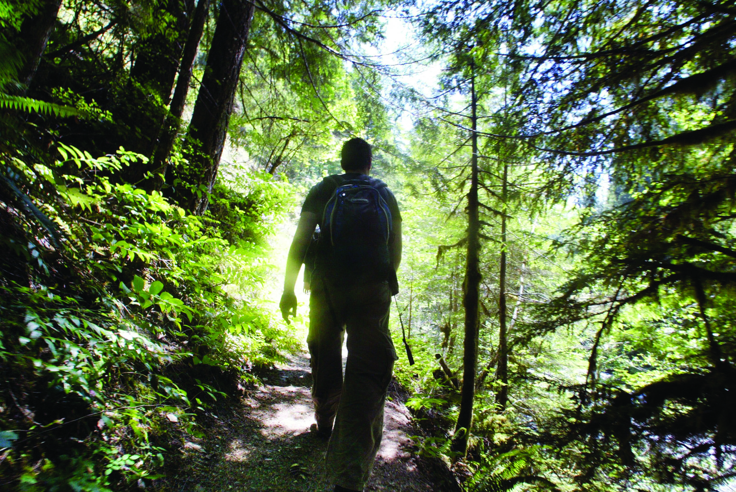 Tinkle girl goes forest hiking spreads