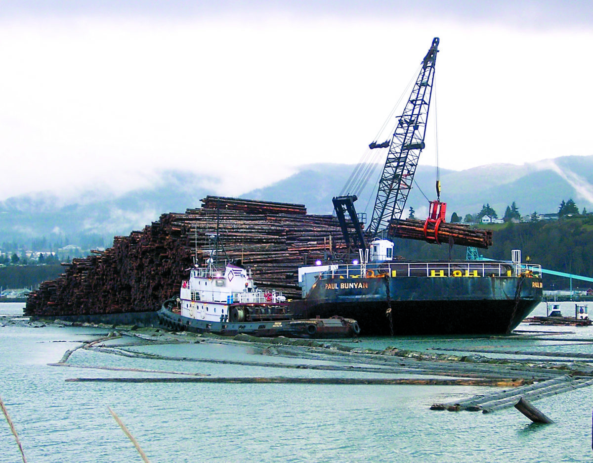 David G Sellars On The Waterfront Port Angeles Harbor Logs Loaded On