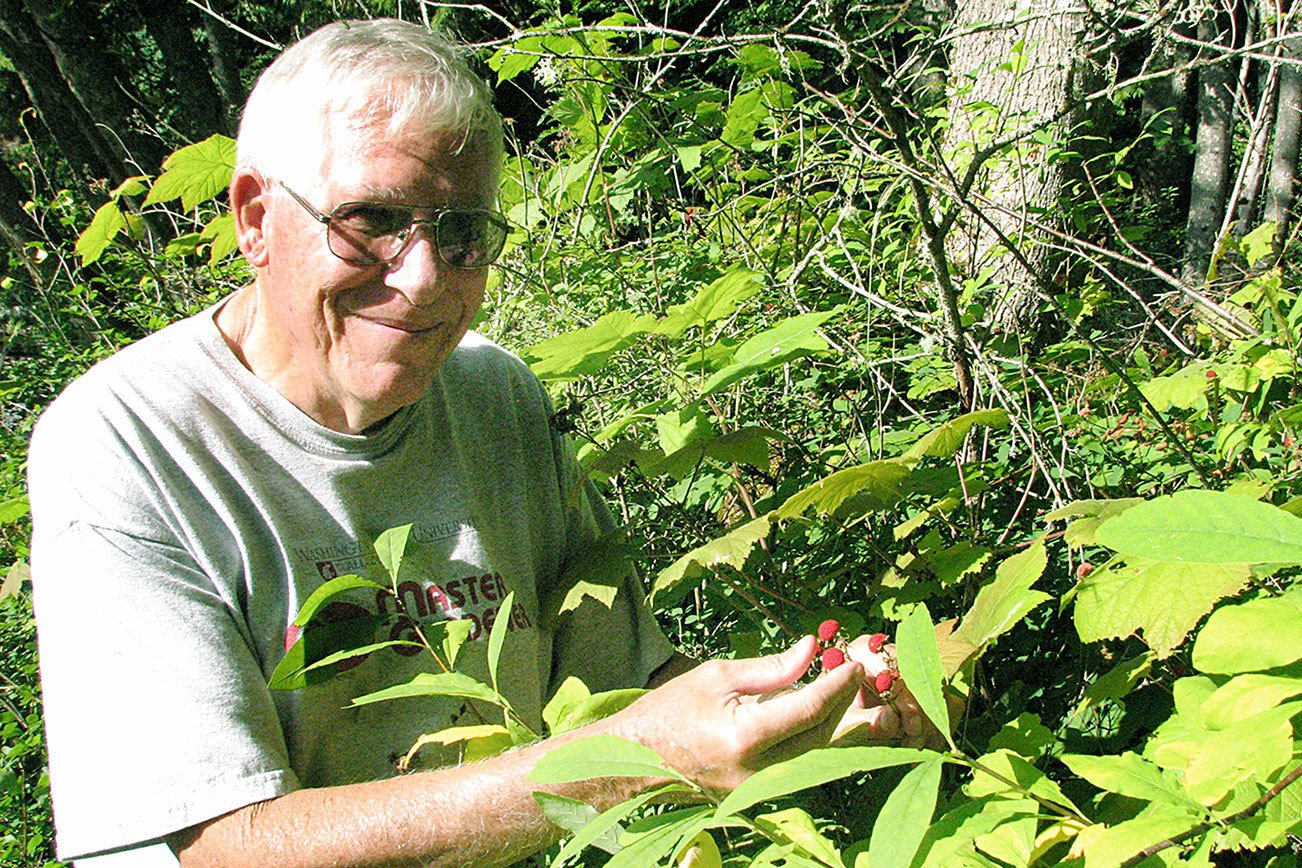 Master Gardeners plan presentation on wild berries Thursday in PortAngeles