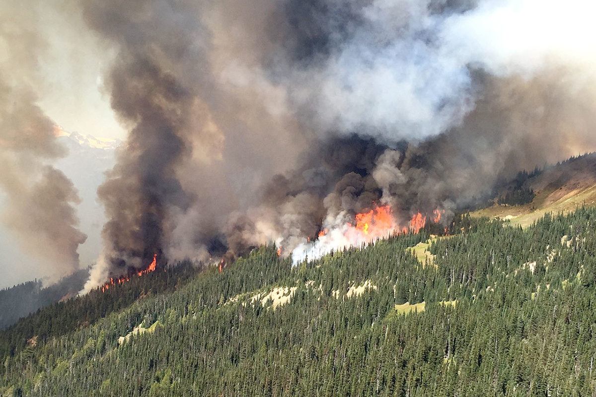 Hayes Fire eats another 1,500 acres of Olympic National Park ...