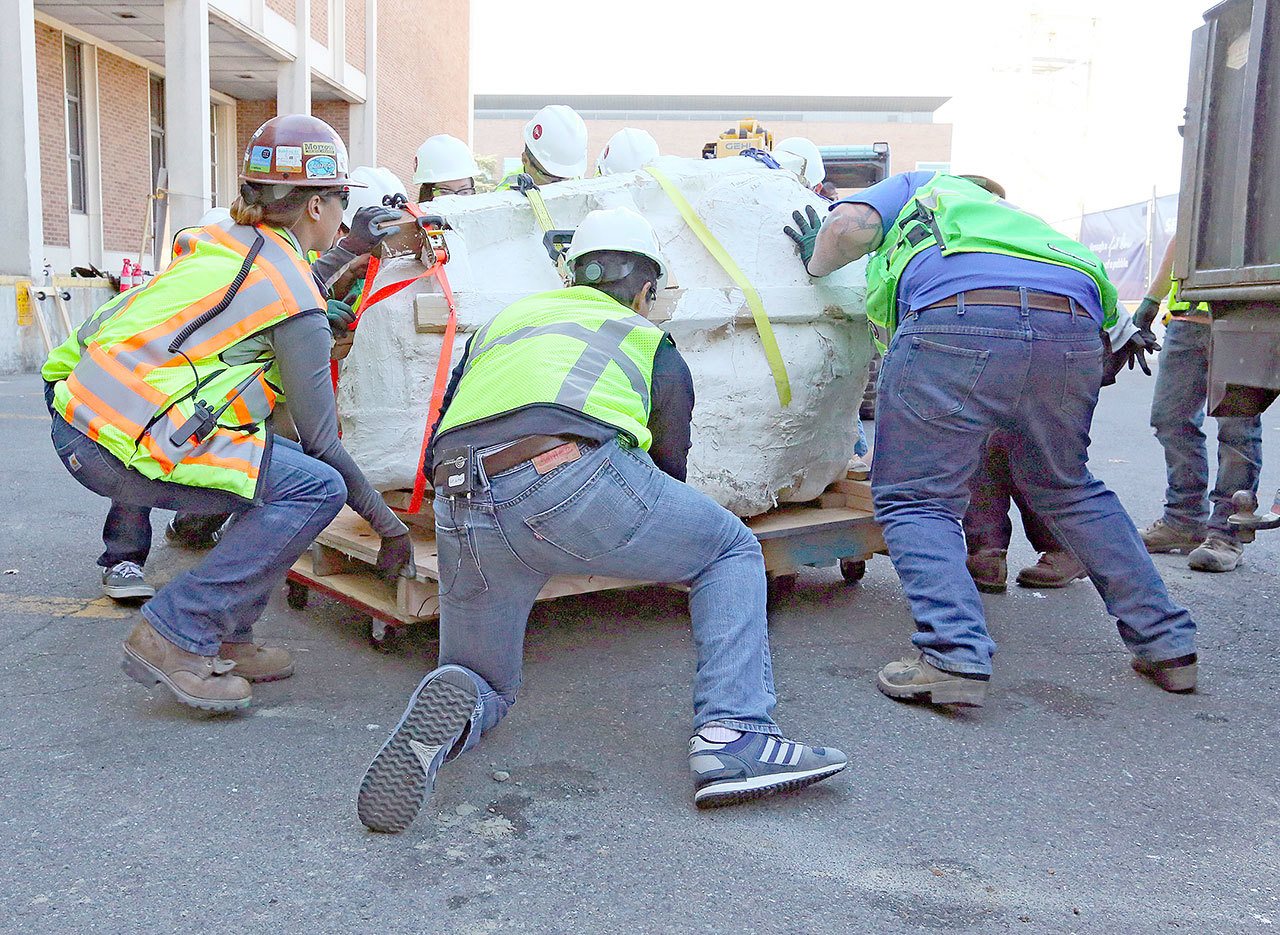 Encased in plaster, the 4-foot-long, 2,500-pound remains of a Tyrannosaurus rex skull is moved by forklift to a wheeled cart behind the loading dock of the Burke Museum on Thursday in Seattle. (Alan Berner/The Seattle Times via AP)