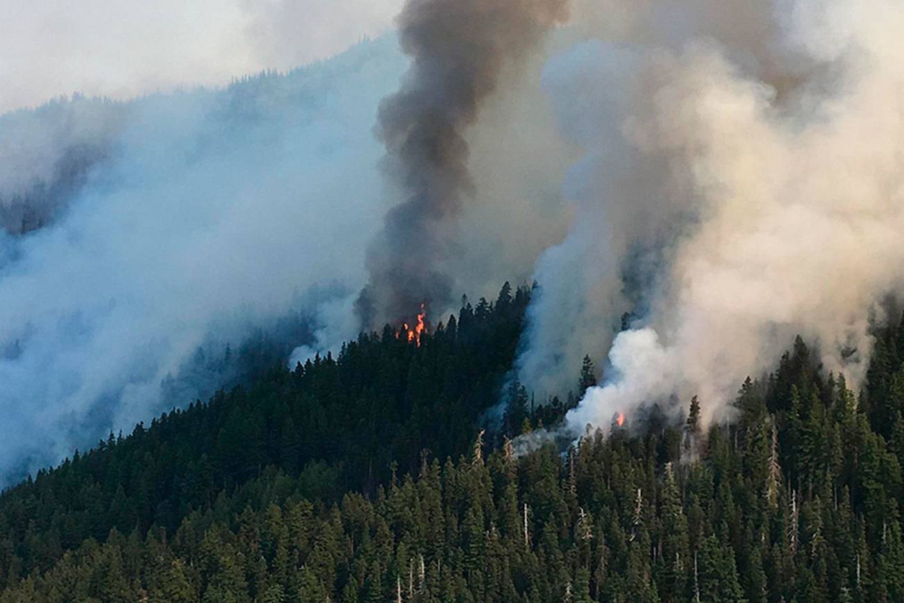 Largest of Olympic National Park fires now tops 700 acres Peninsula