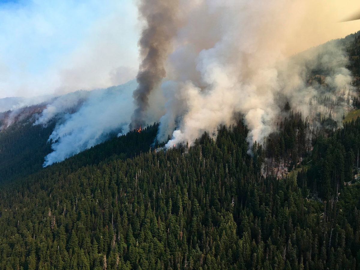 Largest of Olympic National Park fires now tops 700 acres | Peninsula ...