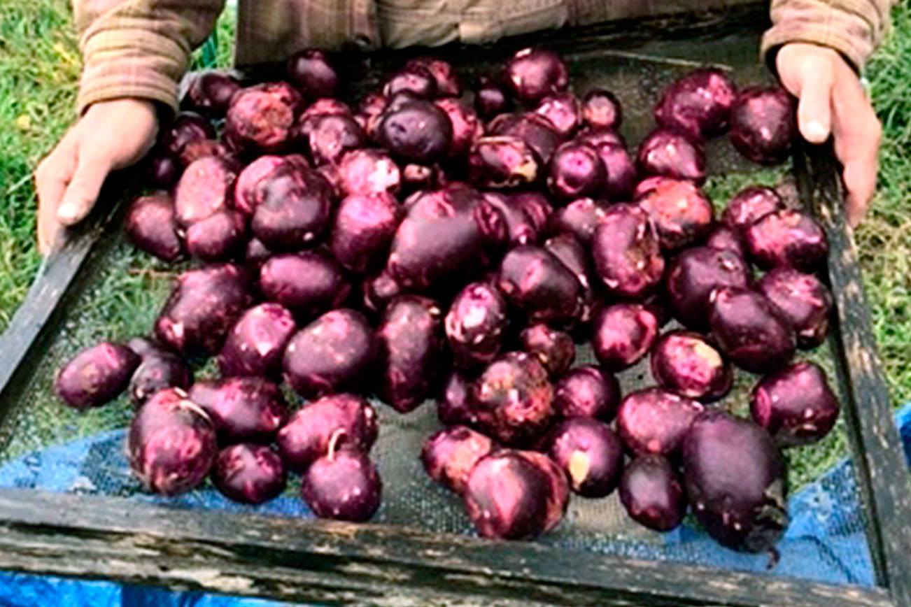 Thirteen farms on Jefferson County Farm Tour