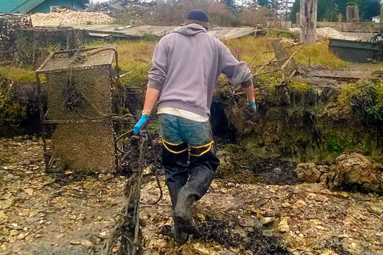 Volunteers clear tons of trash from Coastal, Strait beaches