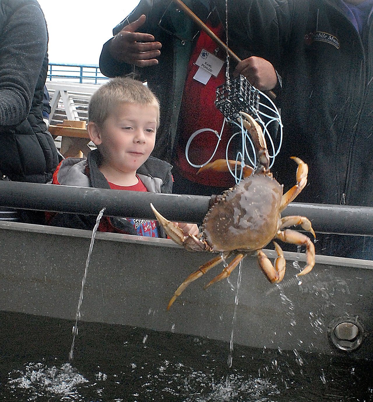 10,000 pounds: Visitors devour crab at Port Angeles festival