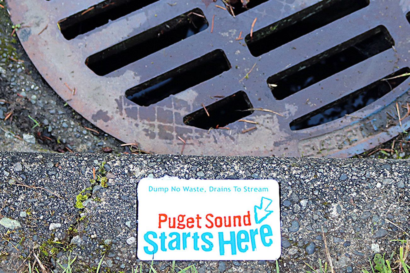 Port Angeles students mark storm drains with pollution reminders