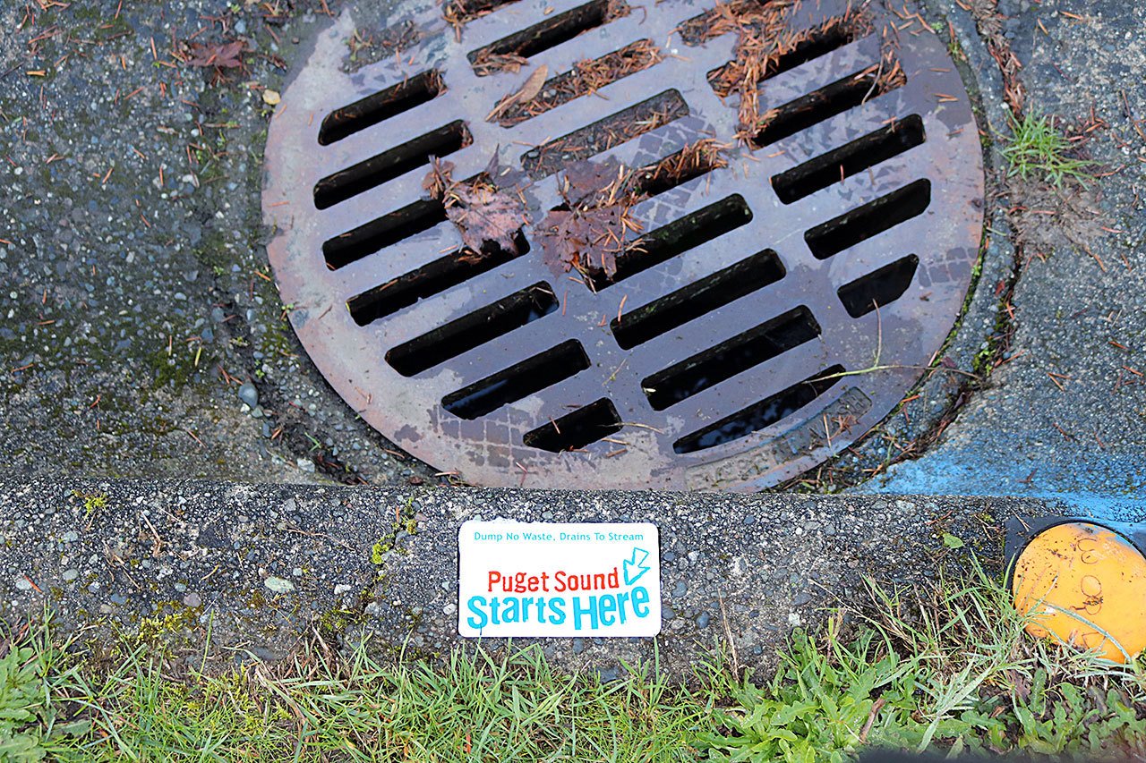 The new plaques read: “Dump No Waste. Drains to Stream. Puget Sound Starts Here.” (Port Angeles School District)