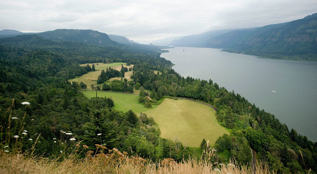 The Washington state side of the Columbia River Gorge is seen looking east towards Skamania County from Cape Horn in 2011. (Steven Lane/The Columbian via AP)