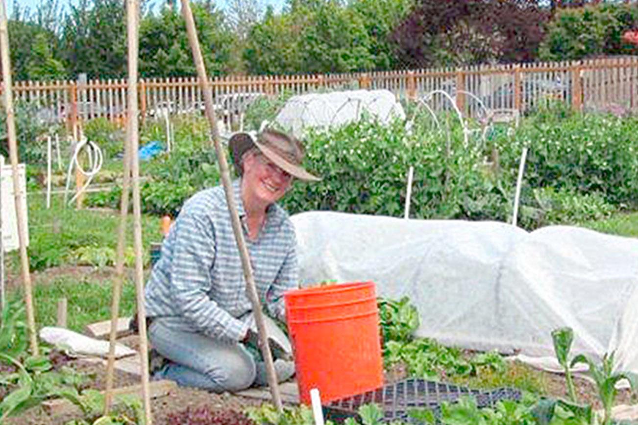 Clallam County Master Gardeners applications accepted now