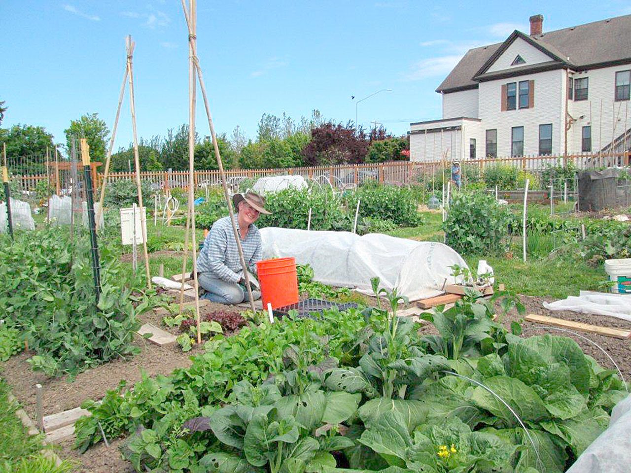 Clallam County Master Gardeners Applications Accepted Now | Peninsula ...