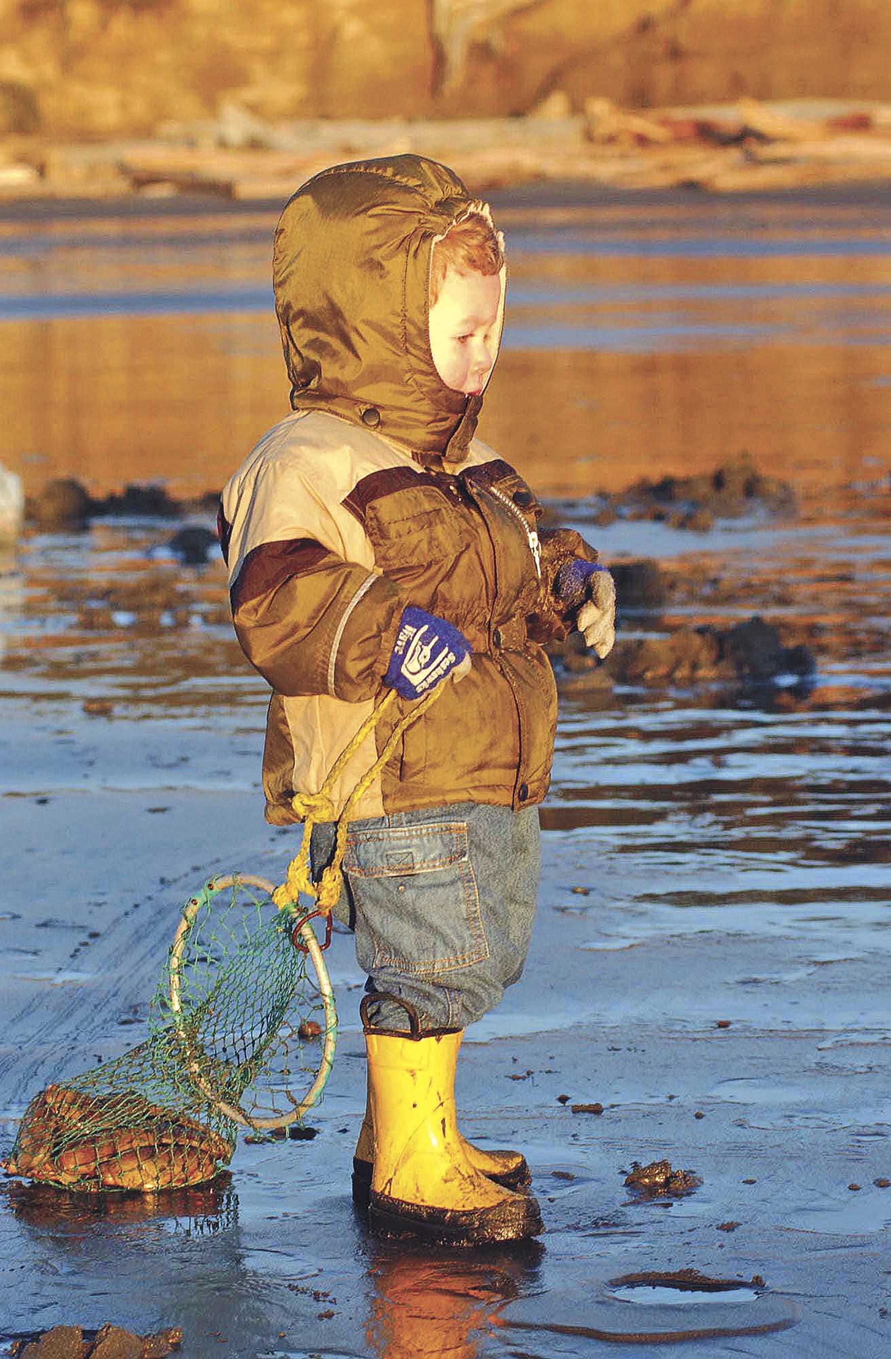 OUTDOORS: Tentative razor clam dig eyed at Kalaloch