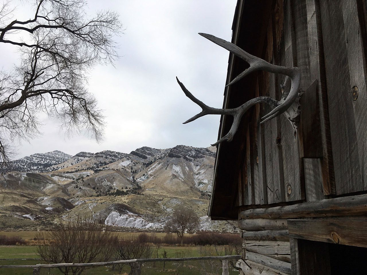 Antlers hang above a doorway of a pioneer building near Dayville, Ore., earlier this month. Sixty-six percent of the county’s 4,529 square miles of forests, mountains and high desert are federal lands, which sometimes puts locals in opposition with federal land managers. (Andrew Selsky/Associated Press)