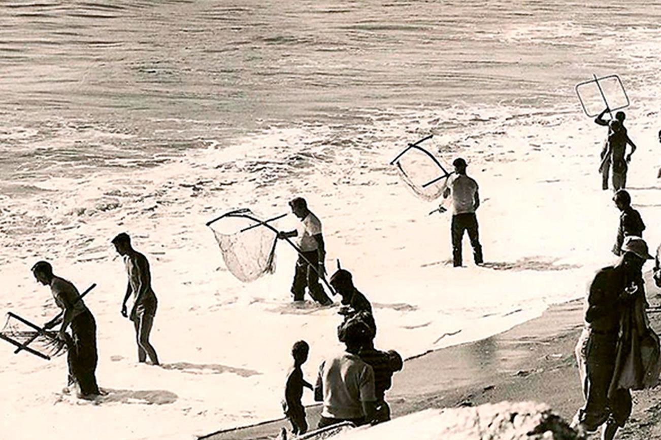 Smelt Dipping Nets
