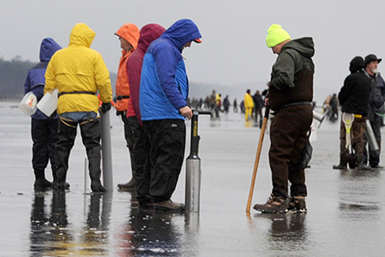 OUTDOORS: Clam dig a mixed bag at Kalaloch