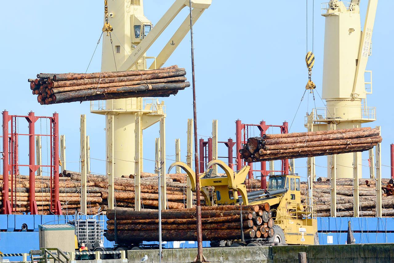 Logs destined for export are loaded onto the Shikoku Island, a Panamanian bulk carrier, in Port Angeles on Monday. (Jesse Major/Peninsula Daily News)