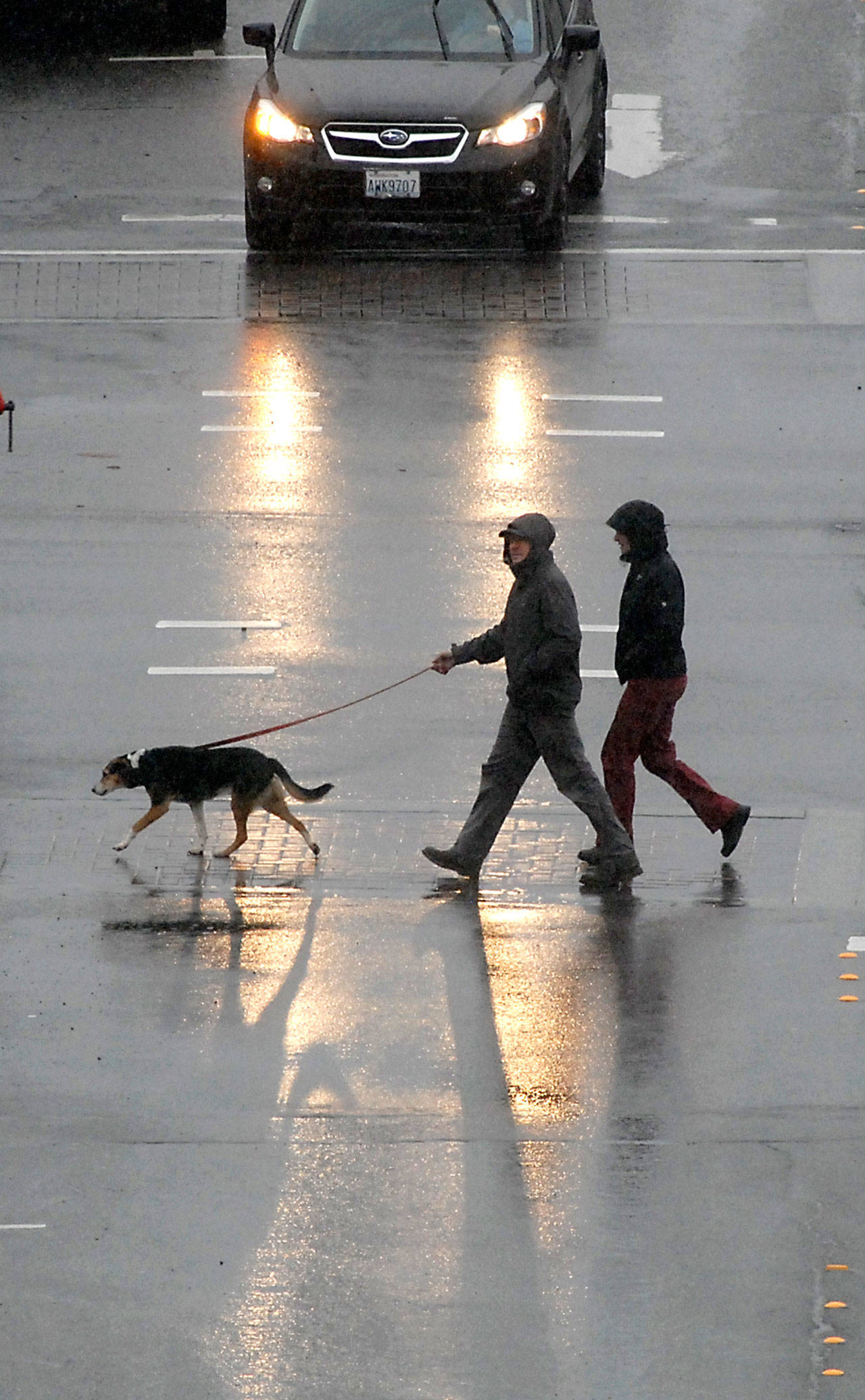 A pair of pedestrians and their dog cross Laurel Street at Front Street on a rainy day in April in downtown Port Angeles. (Keith Thorpe/Peninsula Daily News)