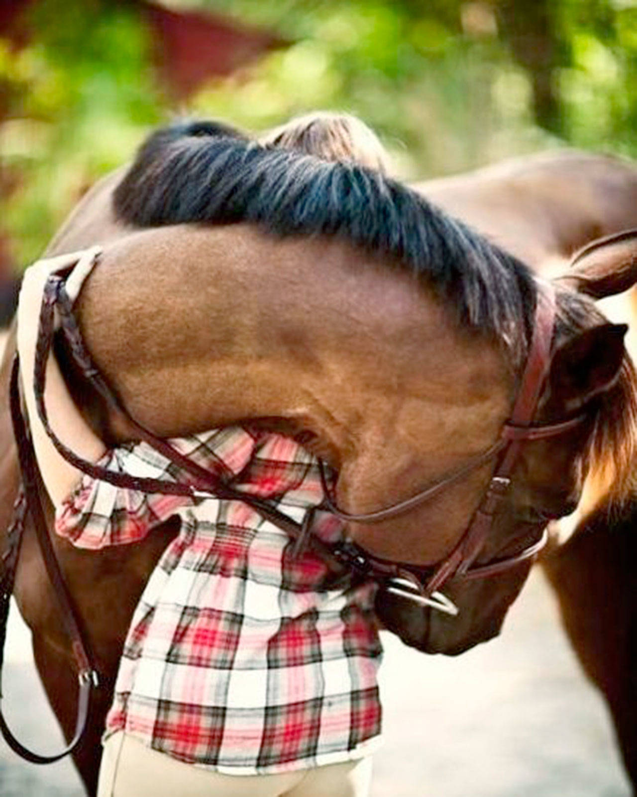 A participant in a Connected Hearts equine therapy group works with one of the horses. (Connected Hearts)