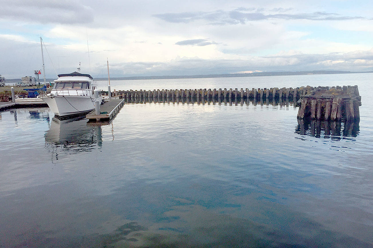 Divers propose building artificial reef with rocks from old jetty at Point Hudson