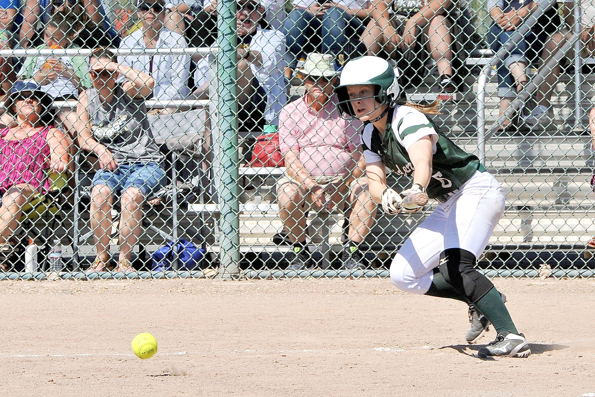 Lonnie Archibald/for Peninsula Daily News Port Angeles’ Sierra Robinson lays down a bunt for a base hit in the 2A state semifinals against Selah Saturday.