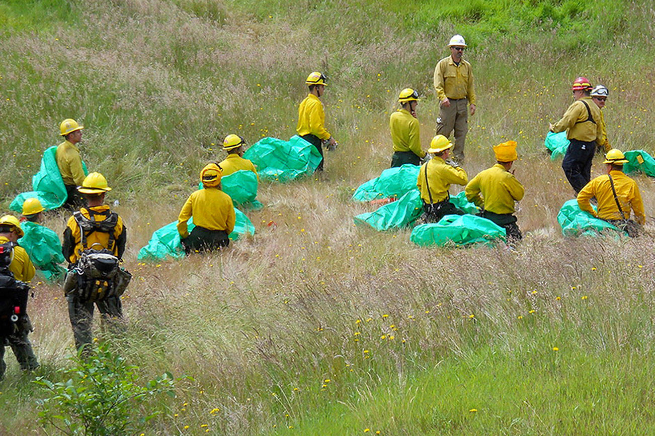 Peninsula firefighters train for wildland blazes