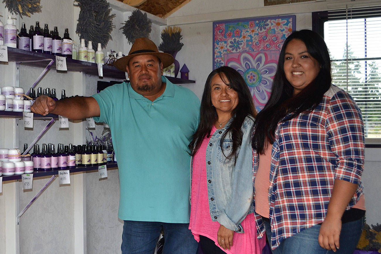 Victor’s Lavender Farm adds second location in Sequim