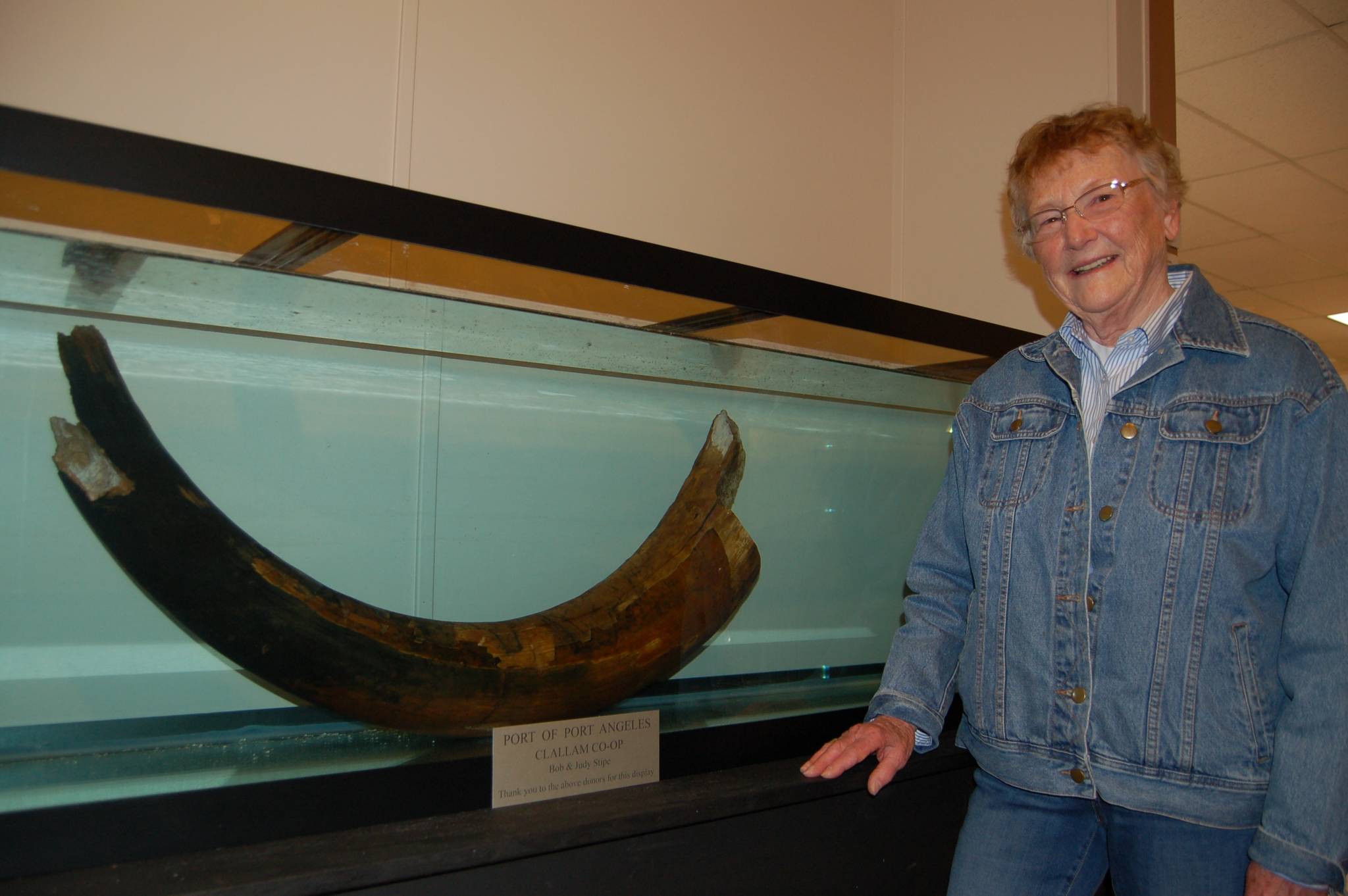 Manis Mastodon tusks get tank upgrade at Sequim museum