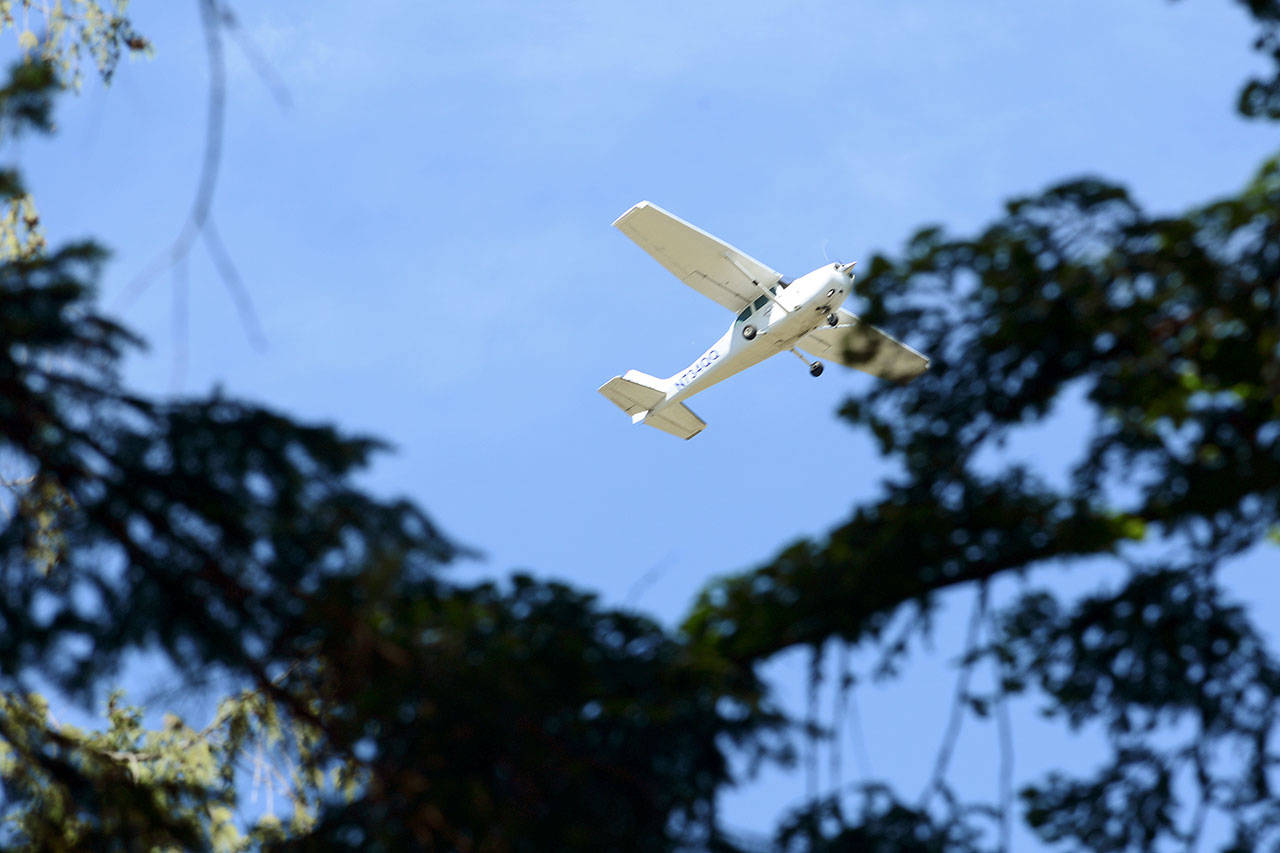 A Cessna 172N, owned by Rite Brothers Aviation owner Jeff Well, passes over Lincoln Park on Tuesday. The Port Angeles City Council voted Monday to remove 74 trees at Lincoln Park obstructing a Fairchild International Airport glide path. (Jesse Major/Peninsula Daily News)