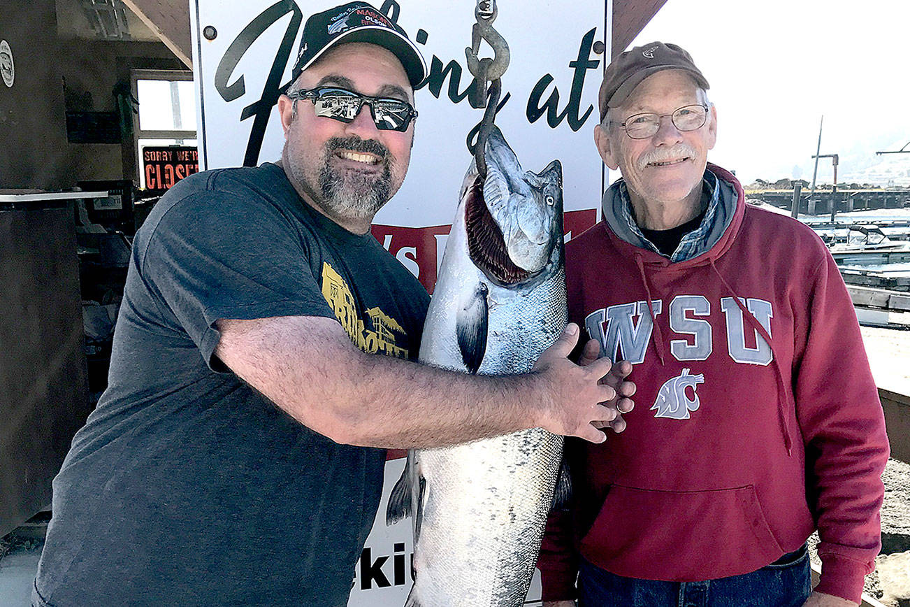 OUTDOORS: Despite windy conditions, salmon catches picking up