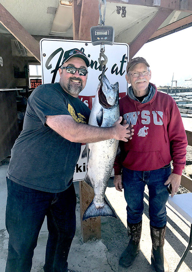 Mike Seifert and Dan Pariera caught this 30.2-pound hatchery chinook off the Caves near Sekiu. Mason’s Olson Resort’s Brandon Mason said it’s the biggest hatchery salmon landed so far this season.