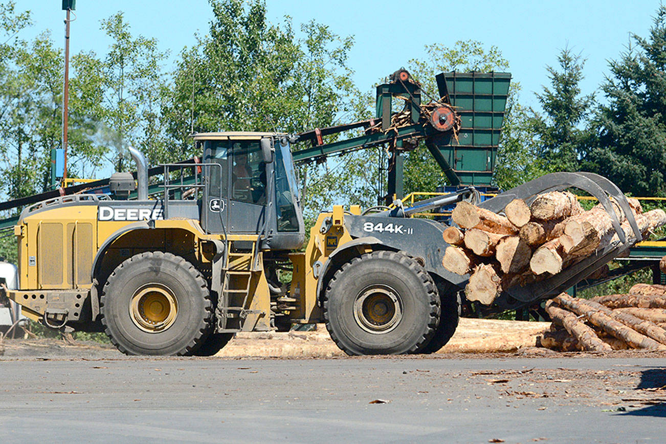 Port of Port Angeles seeks to locate CLT business on North Olympic Peninsula