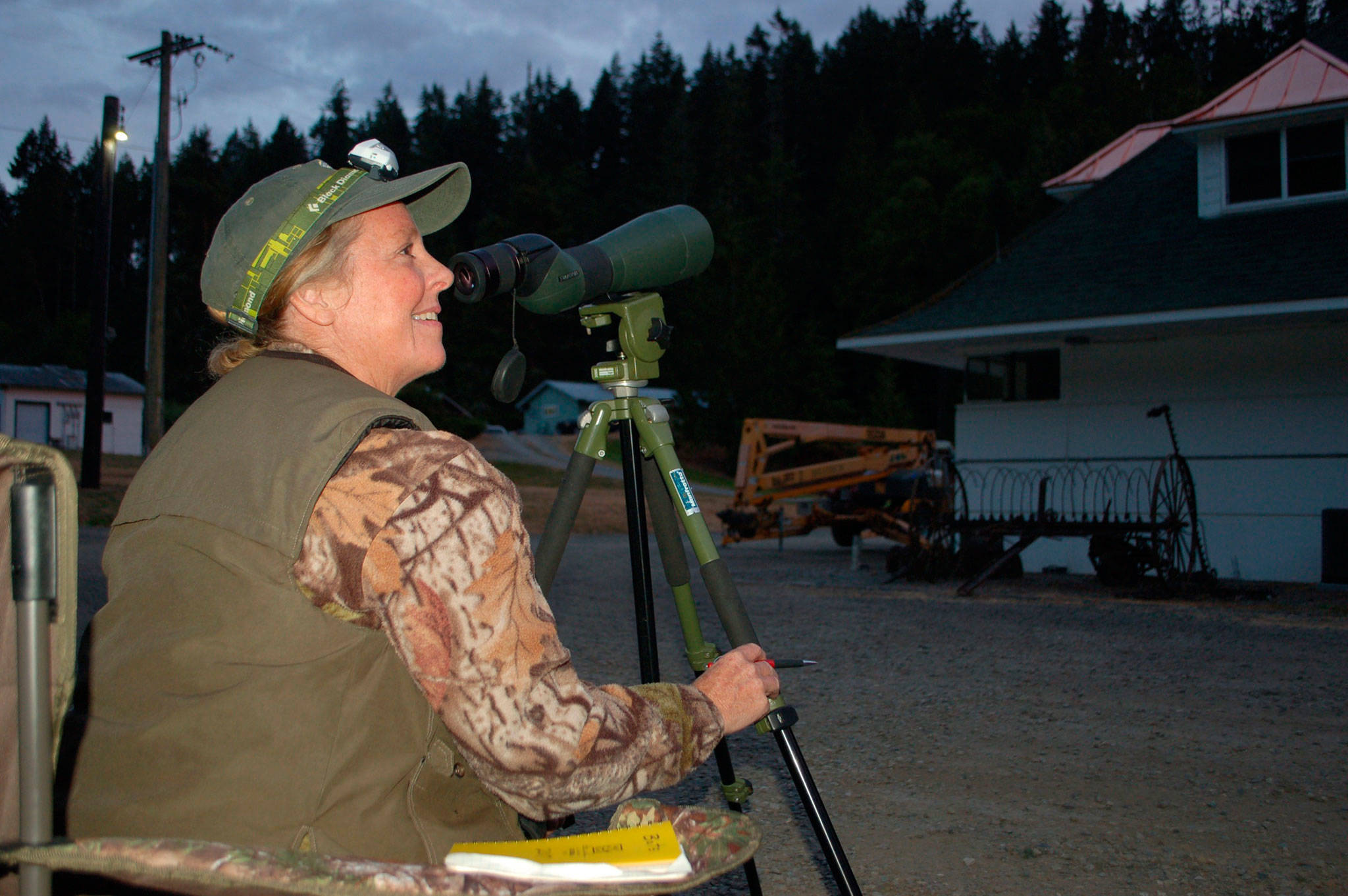 Shelly Ament, Department of Fish and Wildlife assistant district biologist for Clallam and west Jefferson counties, points to one of the areas at the Dungeness Fish Hatchery where bats exit the building to hunt for food in the evenings. Below, two bats roost in a structure at the hatchery where local biologists took bat guano and swab samples to send in for testing of white-nose syndrome. (Erin Hawkins/Olympic Peninsula News Group)