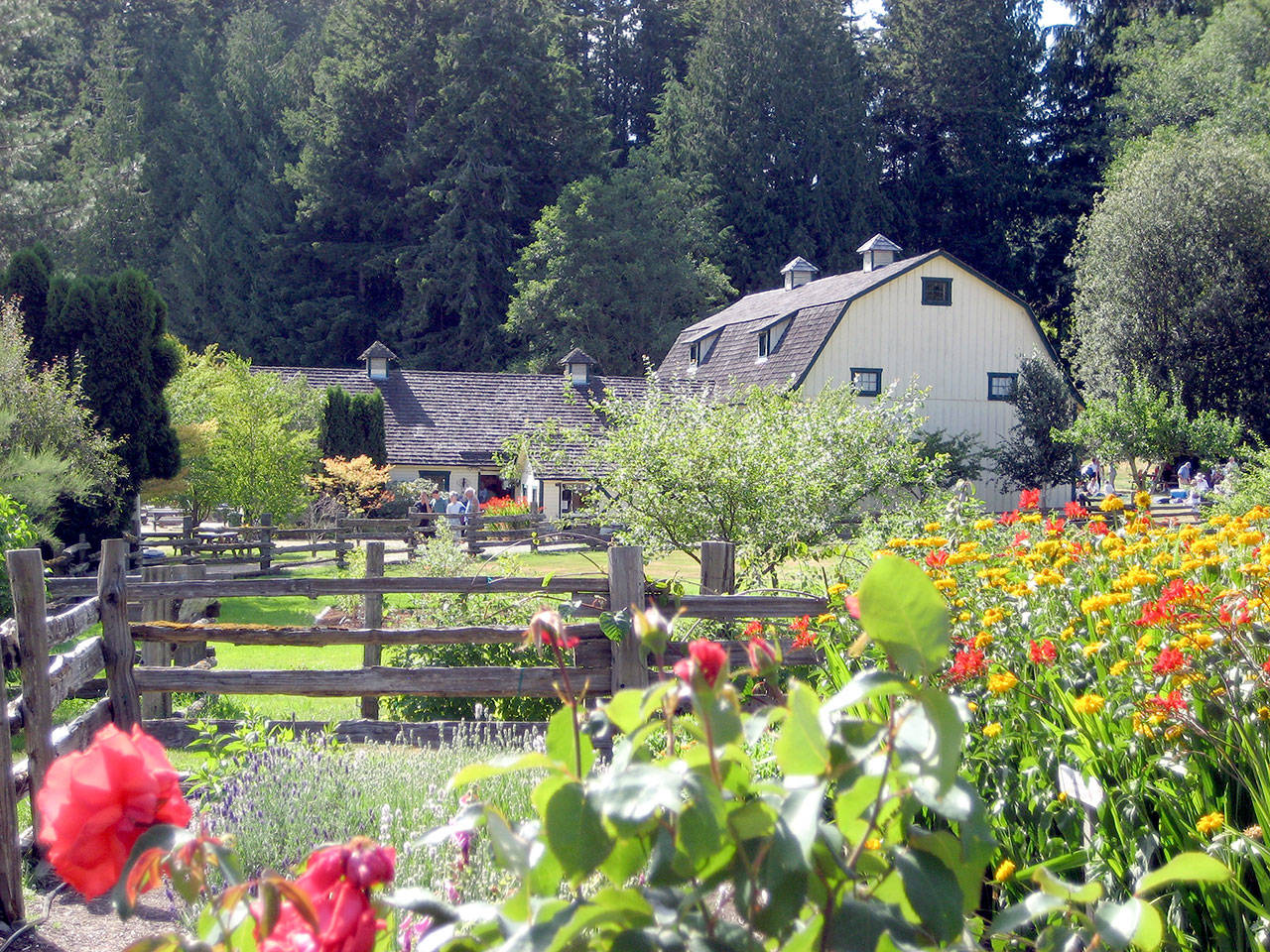 Alan Iglitzin’s historic barn near Quilcene will host chamber music this weekend.