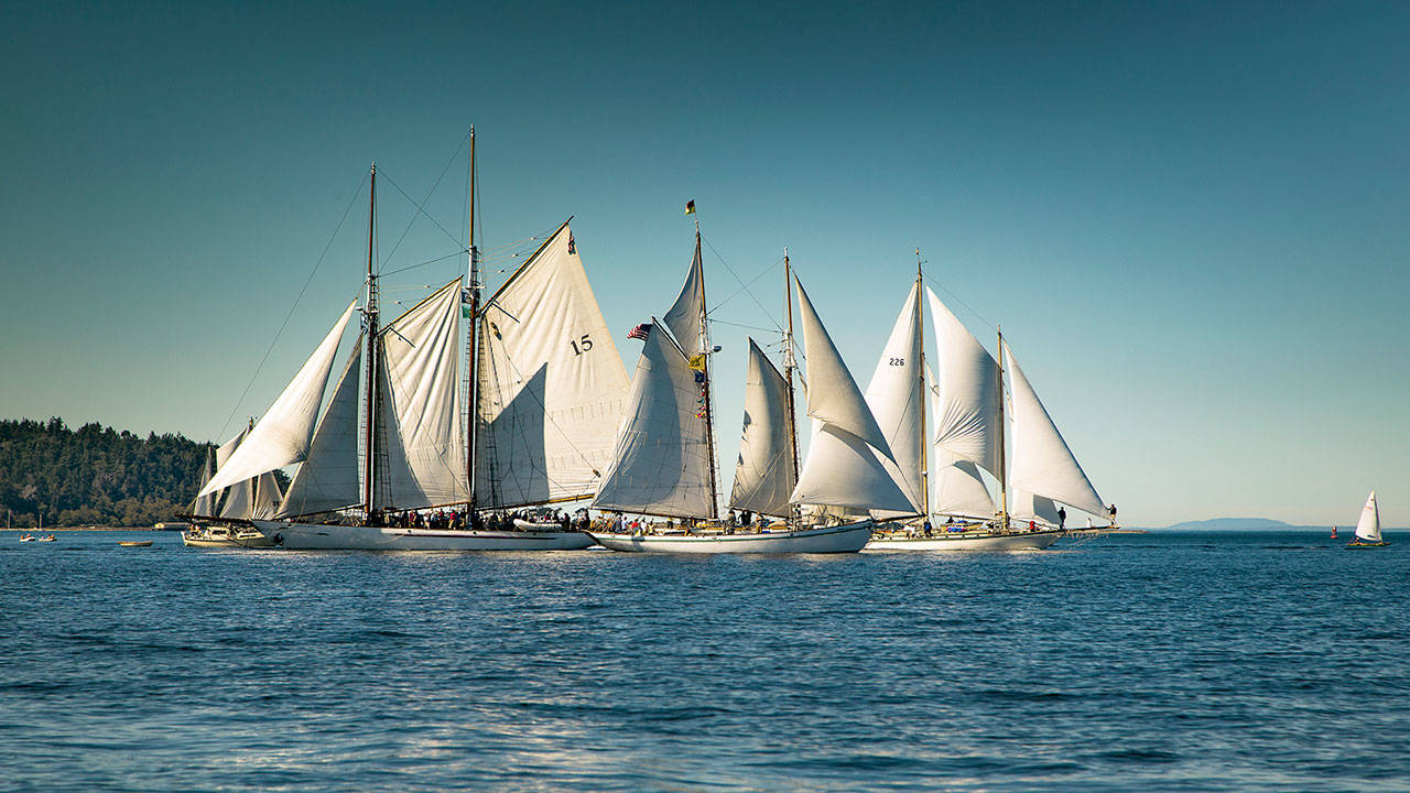 Ships sail across the harbor at last year’s 40th annual Wooden Boat Festival in Port Townsend. (Irving Mortenson)