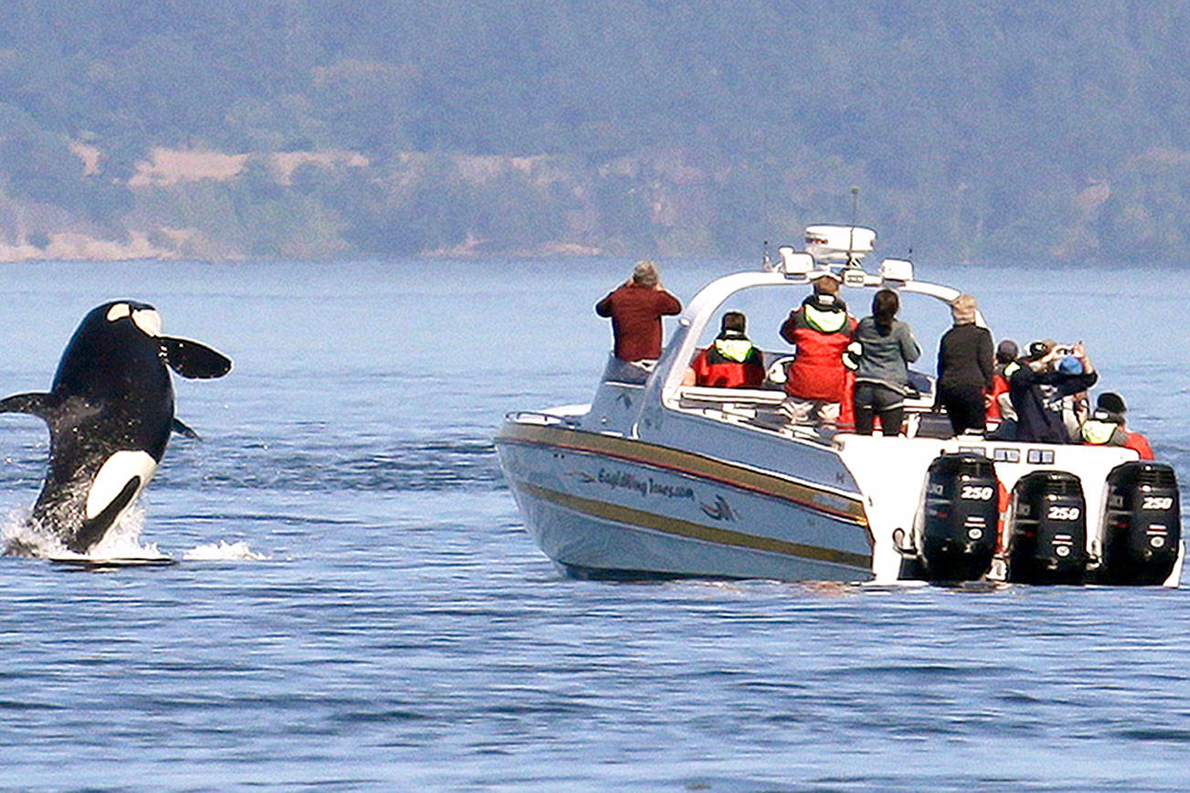 Judge OKs lawsuit seeking better protection of Puget Sound