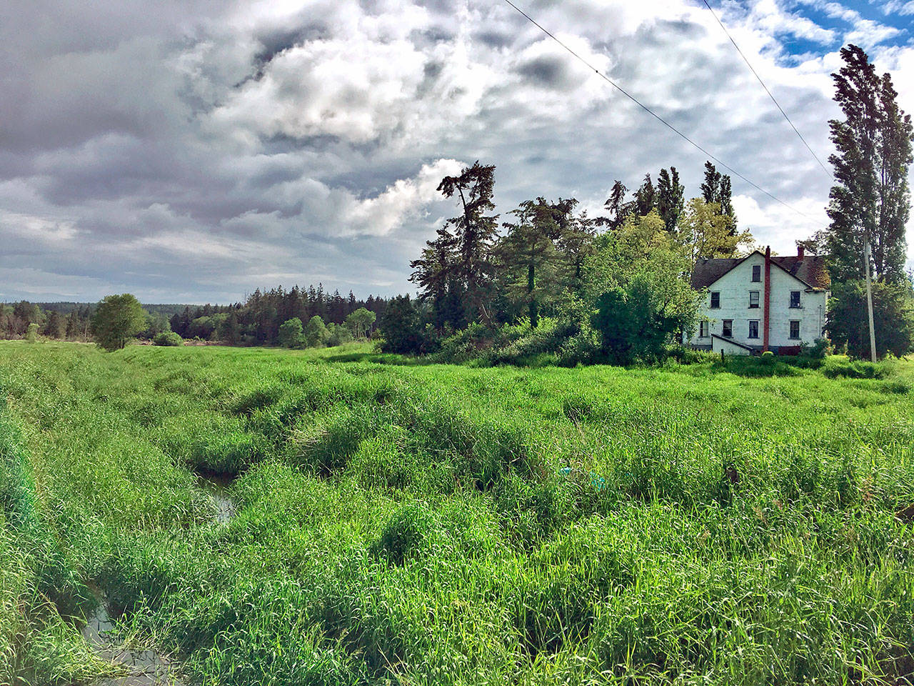 The Navy has partnered with local organizations, including Jefferson Land Trust, to preserve over 3,100 acres of land, including a historic farm, in the Chimacum Valley. (U.S. Navy)