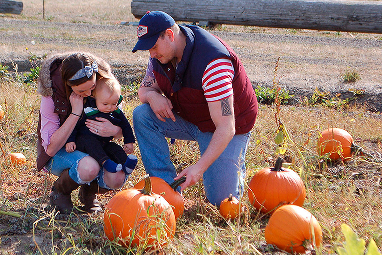 Pumpkin Patch offers ‘Alice in Wonderland’ theme