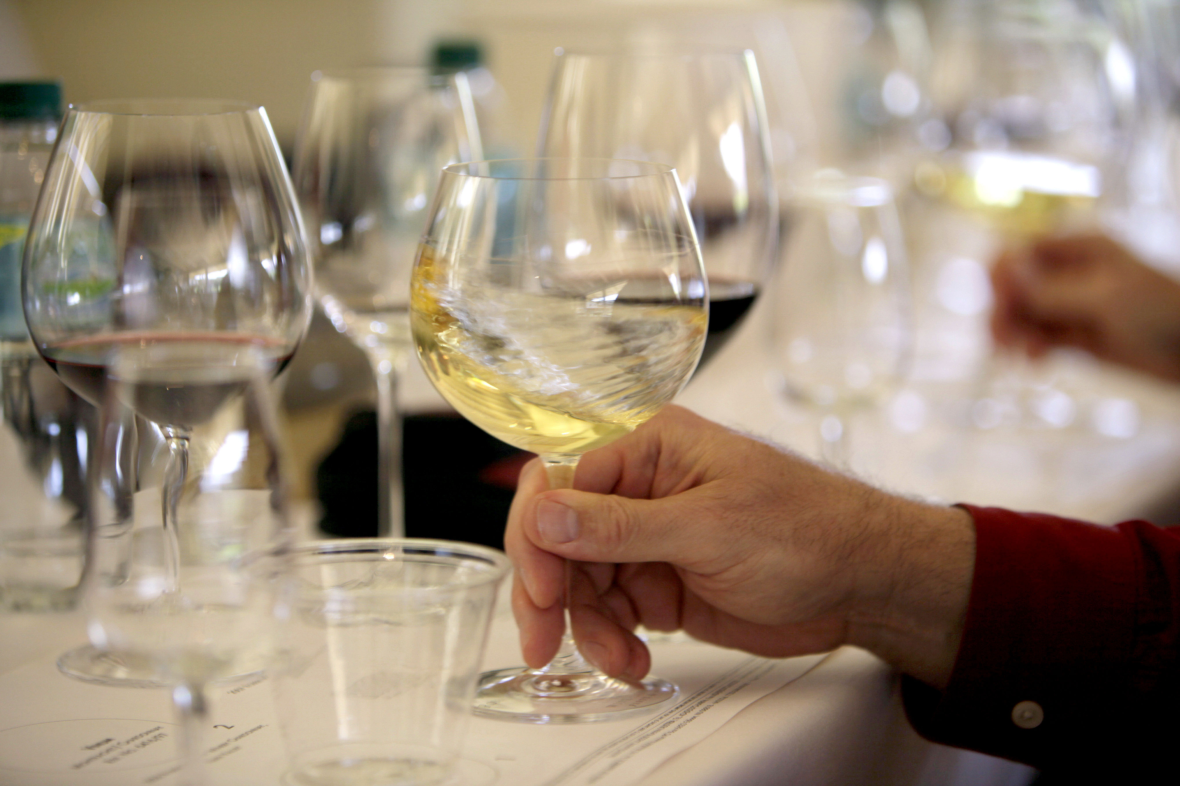 A glass of white wine is swirled during a tasting in Oakville