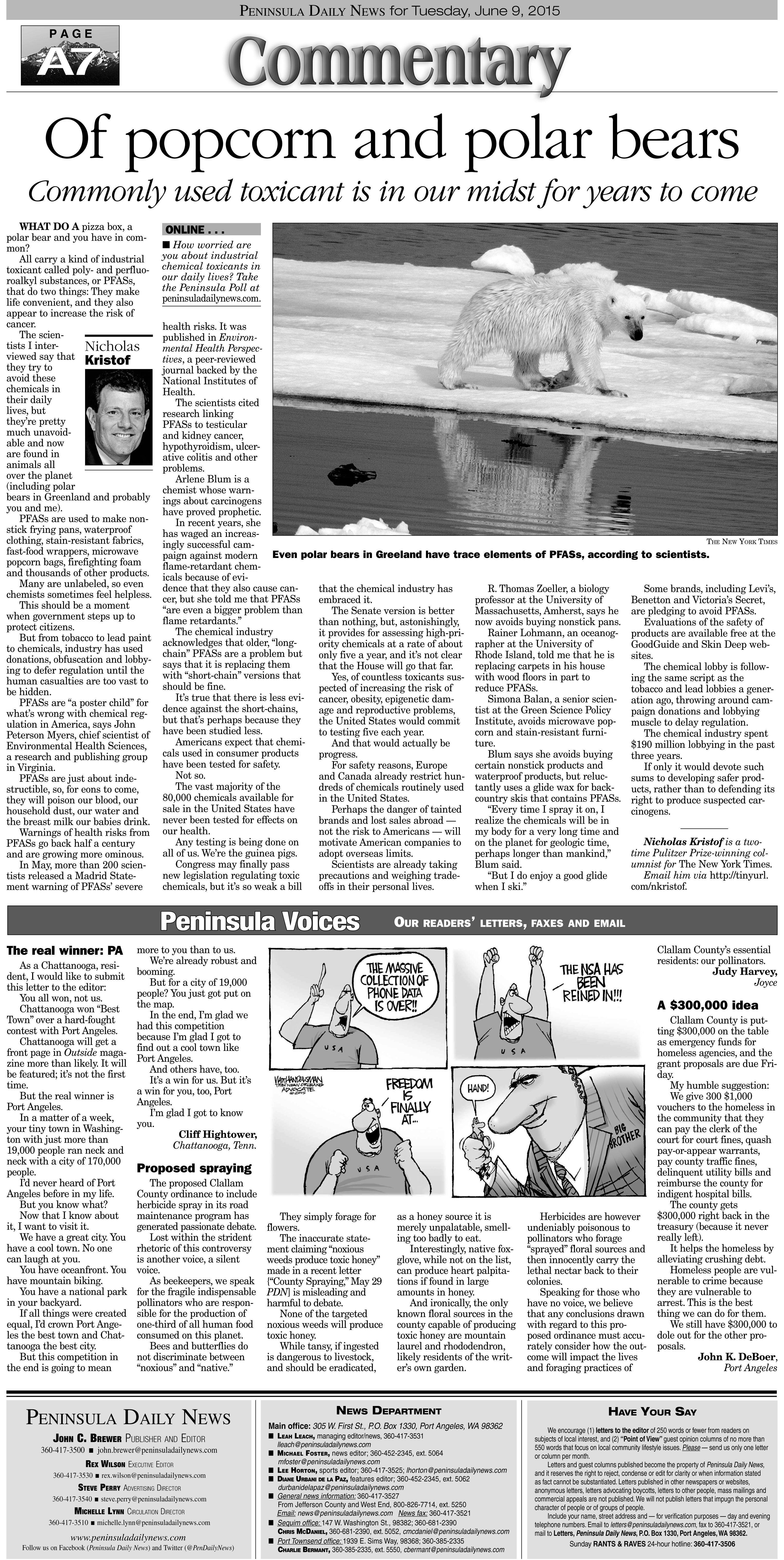 Tuesday's PDN Commentary page ((Click on image to enlarge))