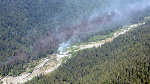 Aerial view of the Paradise Creek fire in Olympic National Park from Monday. (National Park Service)