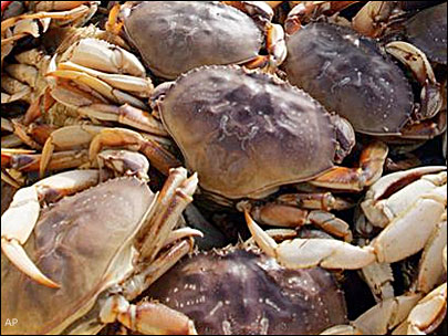 Emergency closure of Dungeness crab fishery in Olympic National Park's coastal section