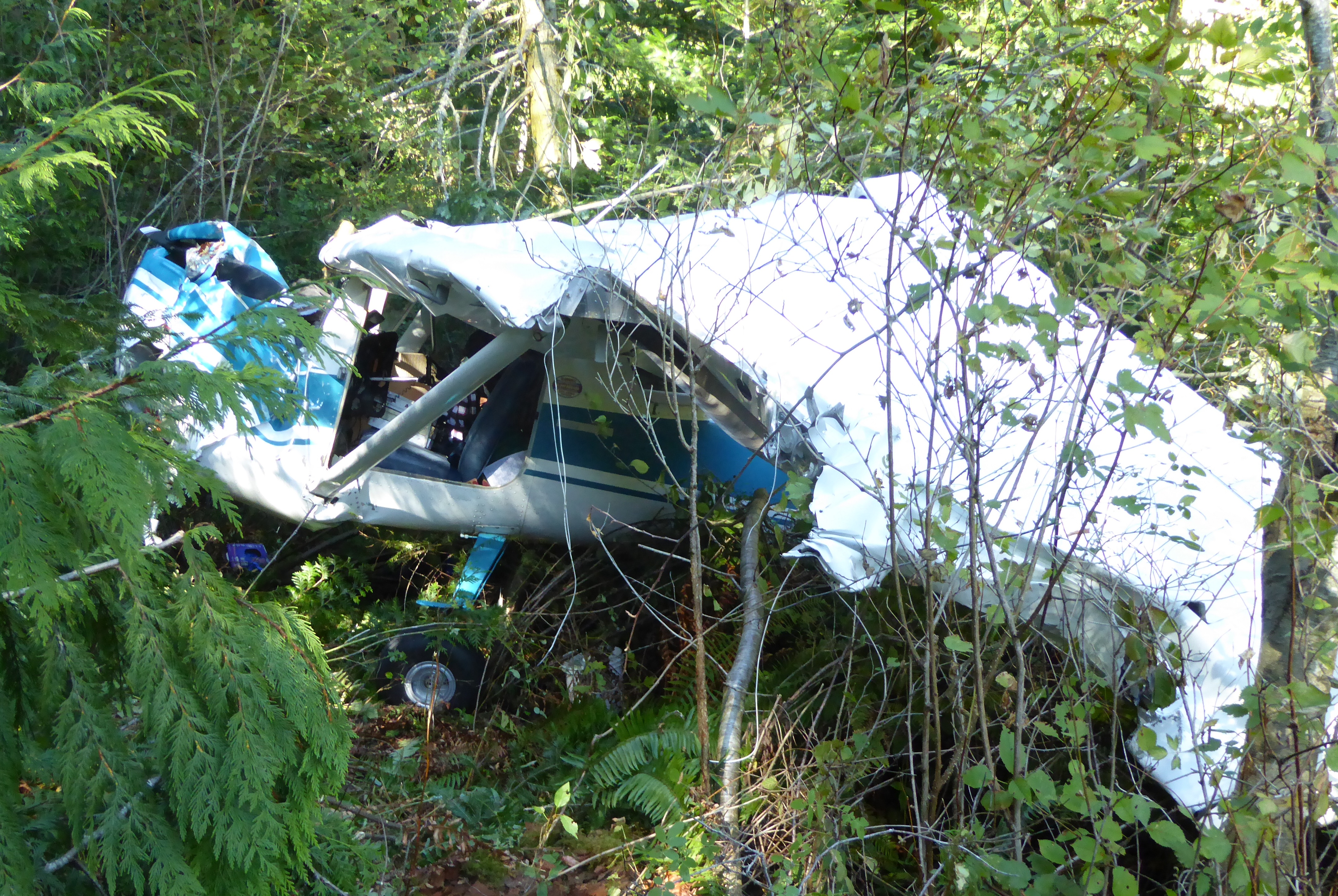 A two-seater Cessna-type plane crashed into the brush near Discovery Bay Golf Course near Port Townsend on Monday. The two occupants were airlifted to Seattle. Charlie Bermant/Peninsula Daily News