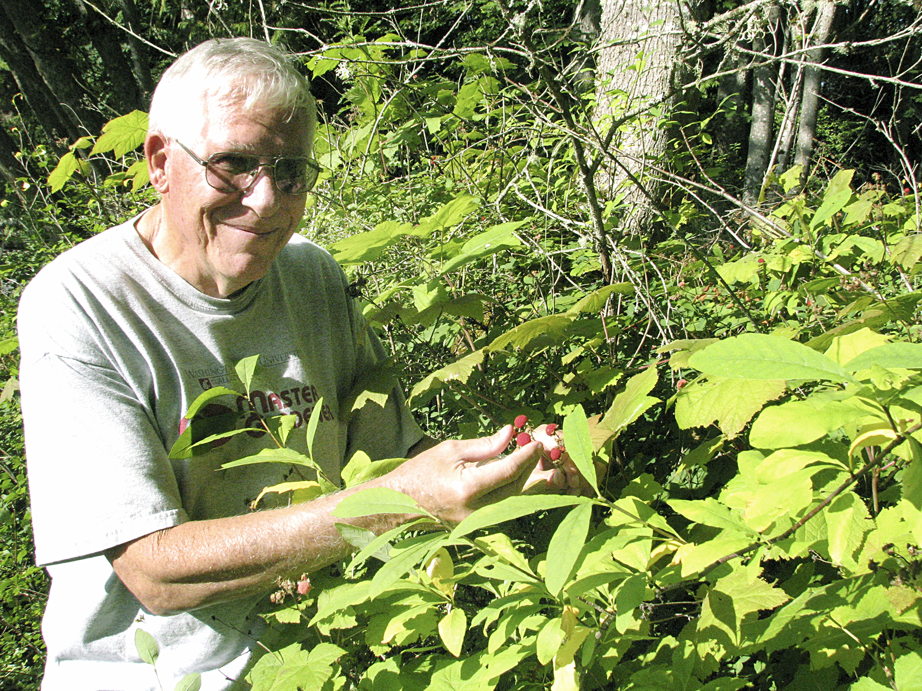 Veteran Master Gardener John Norgord will present “Wild Berries: In Their Native Habitat and In Our Garden” on Thursday at noon in the county commissioners' meeting room at the Clallam County Courthouse in Port Angeles. (Amanda Rosenberg)