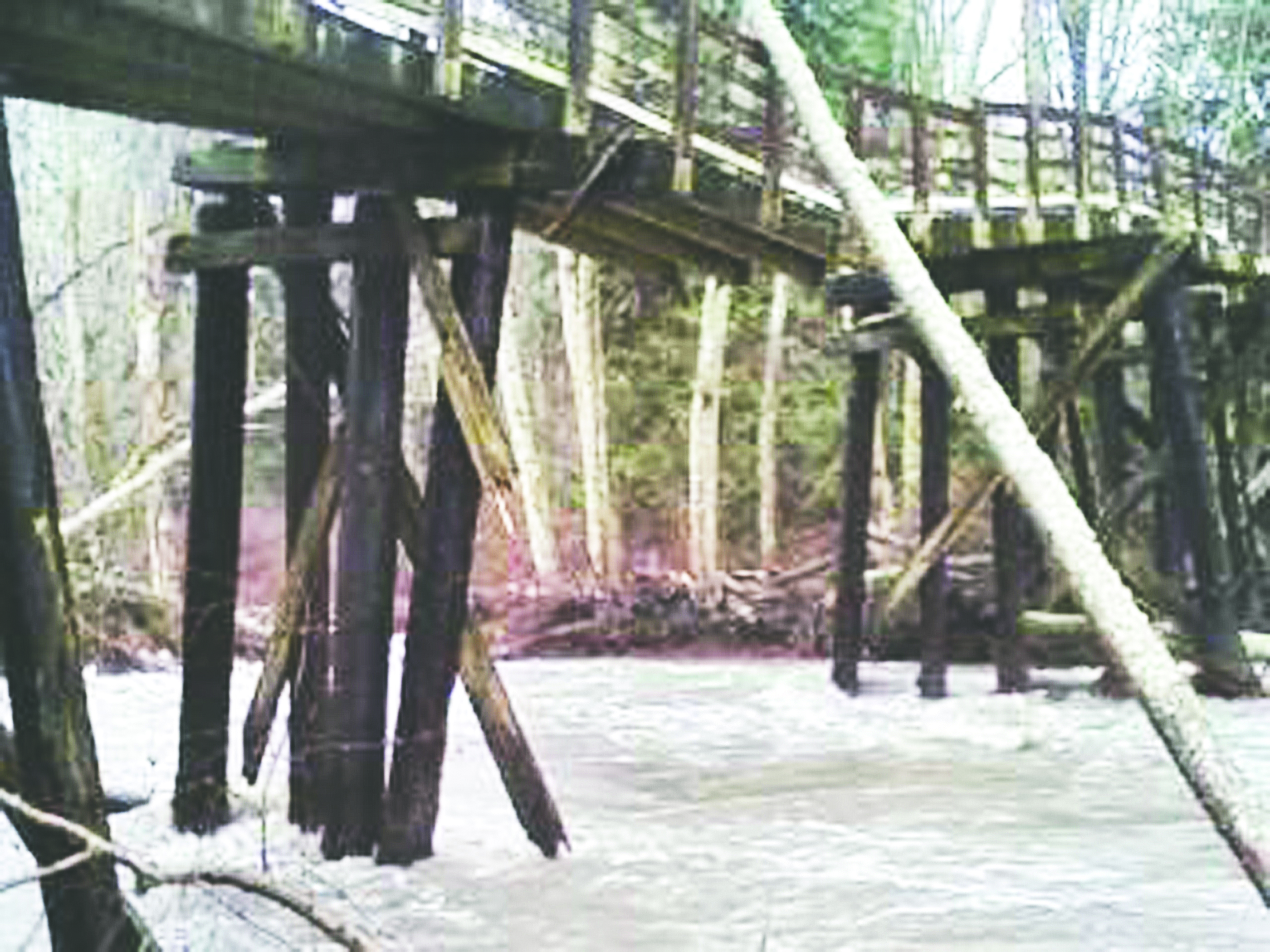 The crippled trestle leading up to the steel-and-concrete Railroad Bridge at the span's Sequim-area namesake park shows broken and missing piles as overflow waters of the flooded Drungeness River rage underneath. (Dungeness River Audubon Center)