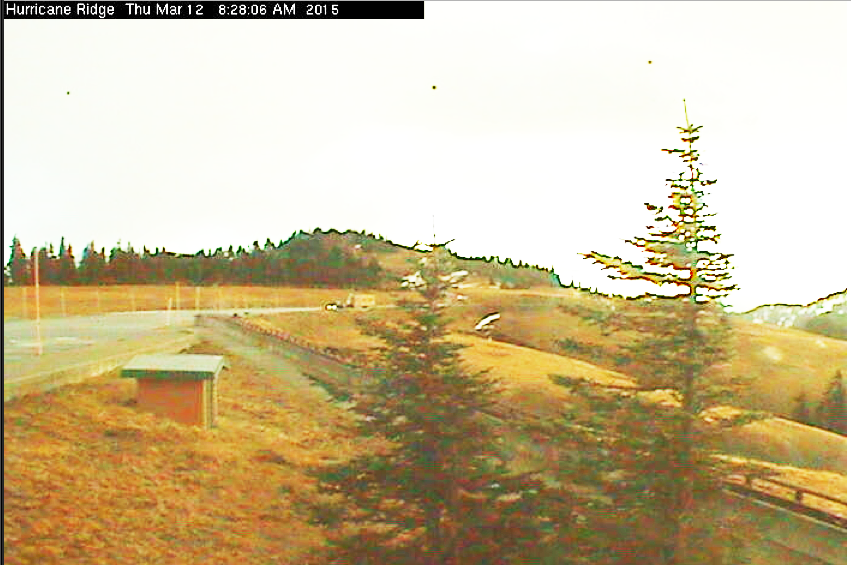 Snow-free parking lot and hillsides at Hurricane Ridge this morning. (Hurricane Ridge/Olympic National Park webcam)