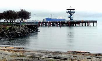 Looking into Port Angeles Harbor from Hollywood Beach. (Peninsula Daily News)