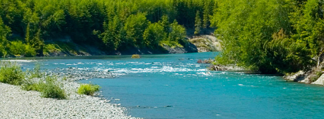 Hoh River (Hoh River Trust)