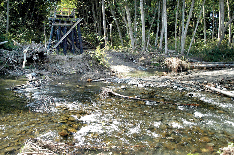 In order to allow the free passage of spawning salmon