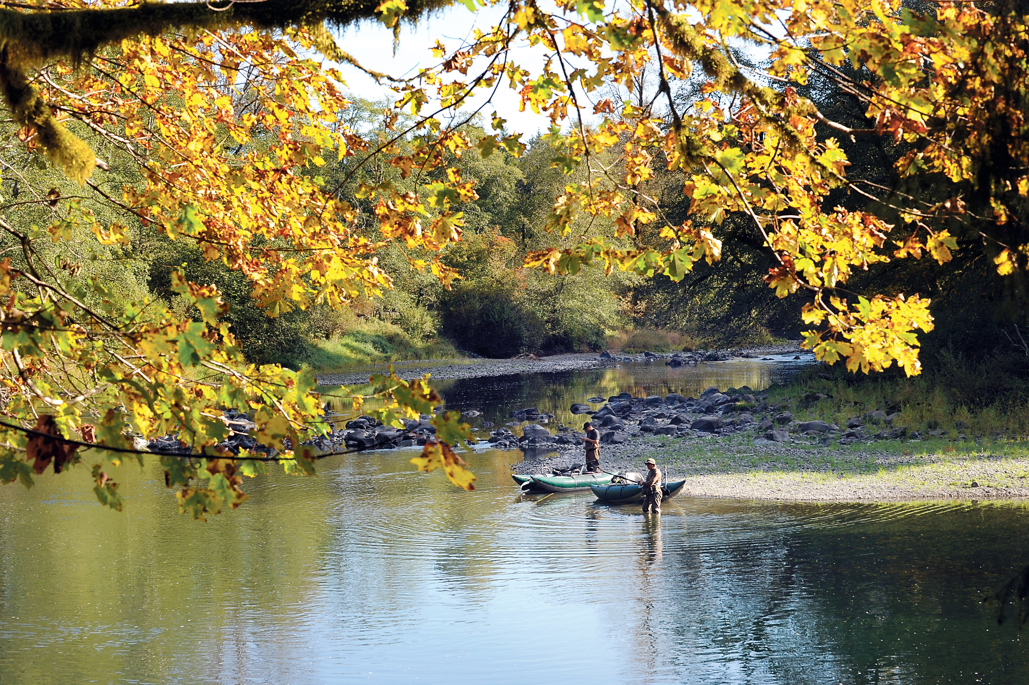 Anglers framed by fall foliage try their luck at the Sol Duc River's Shuwah Hole just off U.S. Highway 101 north of Forks in 2014. Lonnie Archibald/for Peninsula Daily News