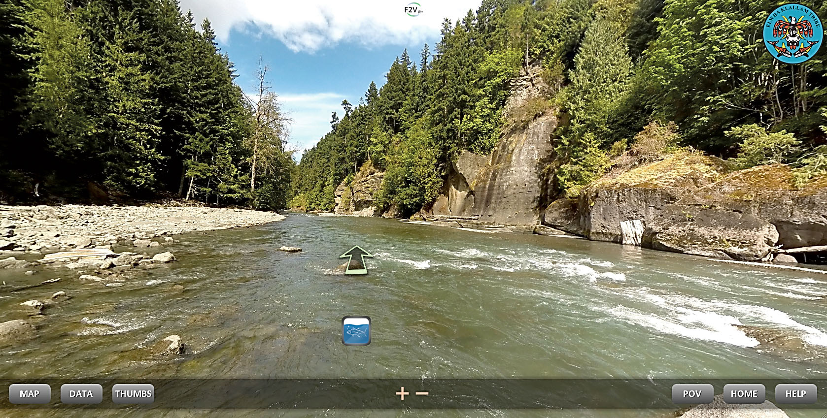 A scene from the virtual ride down the Elwha River. (Flying Fish Views)